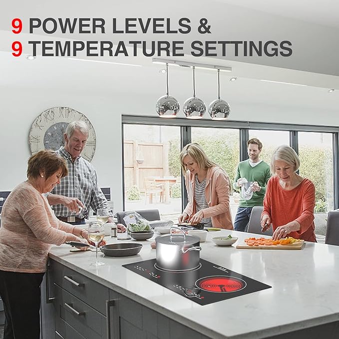 4000w Electric Cooktop, 24" Electric Stove 2 Burner Hot Plate Built-in Double Burner Cooktop with LED Touch Screen,9 Heating 9 Temperature,Kids Lock & Timer,Suitable for all Pans