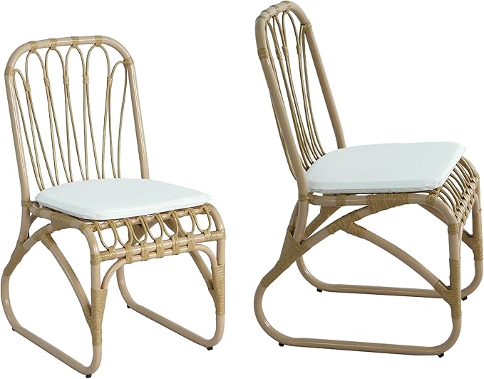 Christopher Knight Home Set of 2 Busby Patio PE Wicker Dining Chairs, Outdoor Woven Rattan Accent Chair with Iron Frame+Cushion, Fully Assembled Lounge Chair Outdoor for Garden/Balcony, Natural