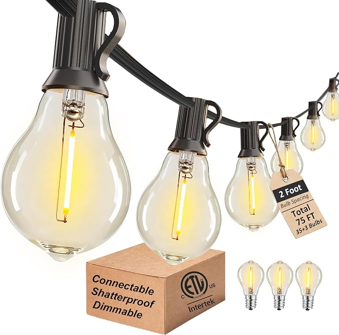 Outdoor String Lights 75FT Patio Light Waterproof for Backyard Porch Bistro | 2FT Bulbs Apart, 75 FT Connectable Outside Lighting with 38 Shatterproof Dimmable LED Edison Bulbs for Garden Balcony Party