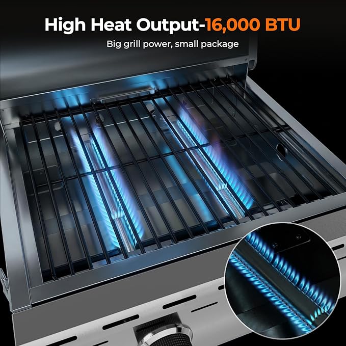 Electactic 16,000 BTUs Portable Tabletop Gas Grill, 2-Burner Propane Grill with Foldable Legs, 251 Sq.in Cooking Area, Stainless Steel BBQ Grill for Easy Assemble & Clean, Ideal for Outoor/RV/Patio