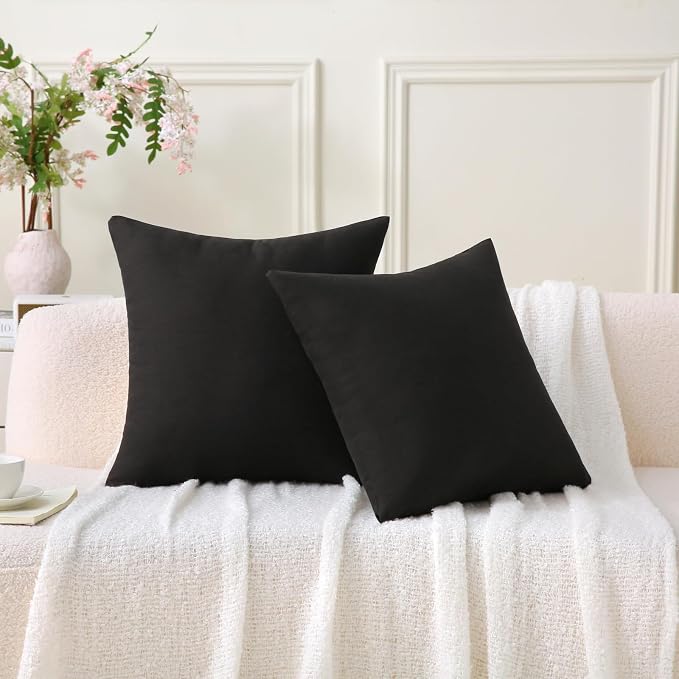 Outdoor Throw Pillows with Inserts, Waterproof Pillows for Outdoor Seating, Square Decorative Garden Cushion for Patio Furniture, Bed, Couch, Sofa(Black, 18" x 18" (Pack of 2))