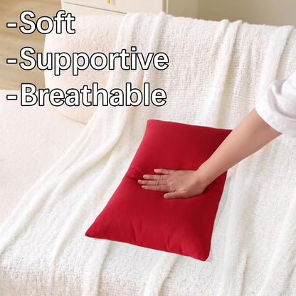 Outdoor Throw Pillows with Inserts, Waterproof Pillows for Outdoor Seating, Square Decorative Garden Cushion for Patio Furniture, Bed, Couch, Sofa (Red, 12" x 20" (Pack of 2))