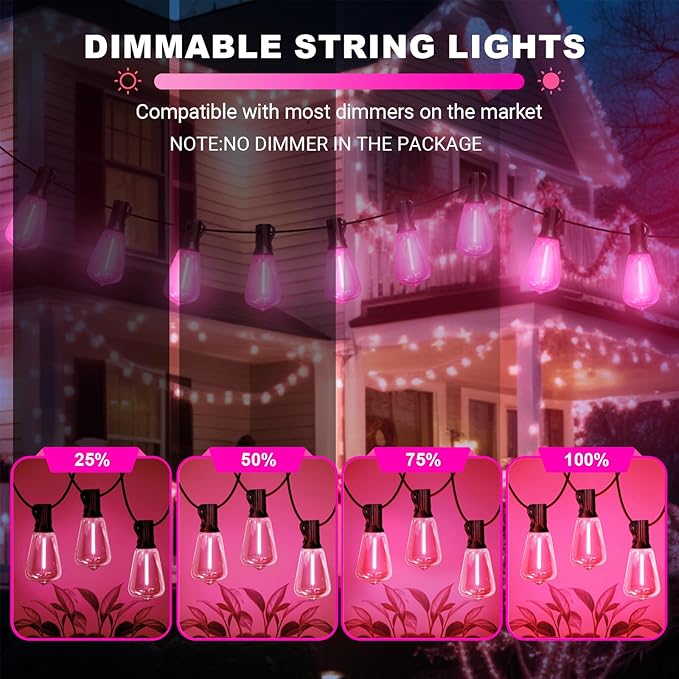 LAMPHOME 2-Pack 26Ft ST38 Pink Valentine's Day Patio Lights ，Outdoor String Lights with 12+1 ST38 Edison Bulbs, Shatterproof LED Lights for Outside Bistro Christmas Wedding Party Decorations