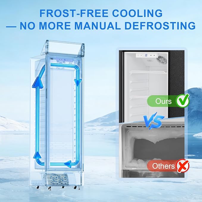 Antarctic Star Beverage Refrigerator, 9 Cu. Ft.Commercial Outdoor Beverage Cooler, Glass Door Display Refrigerator with 4 Adjustable Shelves, Drink Fridge for Restaurants, Bars and Retail Stores