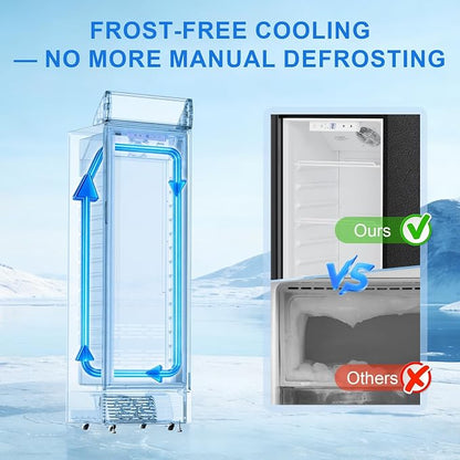 Antarctic Star Beverage Refrigerator, 9 Cu. Ft.Commercial Outdoor Beverage Cooler, Glass Door Display Refrigerator with 4 Adjustable Shelves, Drink Fridge for Restaurants, Bars and Retail Stores