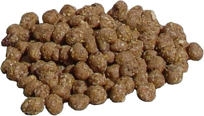 C&S Wild Bird Woodpecker Suet Nuggets Mega Box,8 Pounds,(Pack of 2)