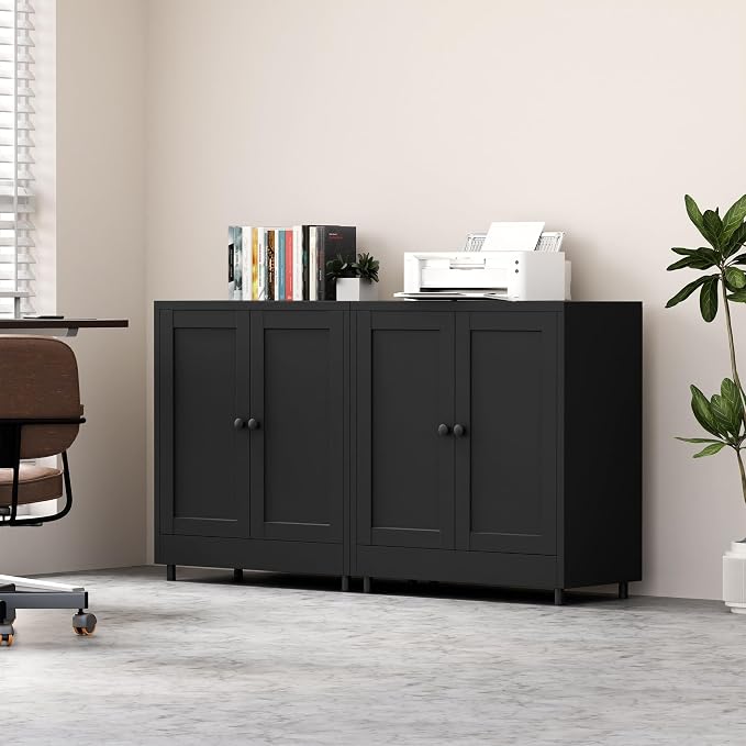Metal Storage Cabinet with 2 Doors and Adjustable Shelf, Steel Sideboard Buffet Cabinet for Home Office Hallway Entryway Kitchen Living Dining Room (Black)