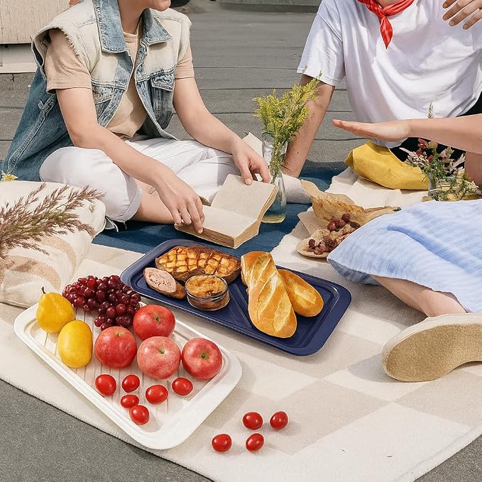 TP 17" x 10.5" Grilling Prep and Serve Trays, Set of 2, Blue&White | Melamine BBQ Trays, Serving Platters for Meats, Raw and Cooked Food Separation, Grill Accessories, Break-resistant