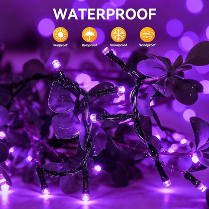Solar String Lights Outdoor Waterproof 2 Pack Total 66ft 200LED Purple | 8 Modes Twinkle Lights Solar Fairy Lights for Patio, Garden Yard Party Wedding Tree Christmas Halloween Decoration