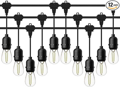 GOODSMANN LED Low Voltage String Lights 12V AC 50FT 10PCS 2W Bulbs 135 Lumens Hanging Landscape Lighting 2800K String Weatherproof Decorative Light for Patio Light