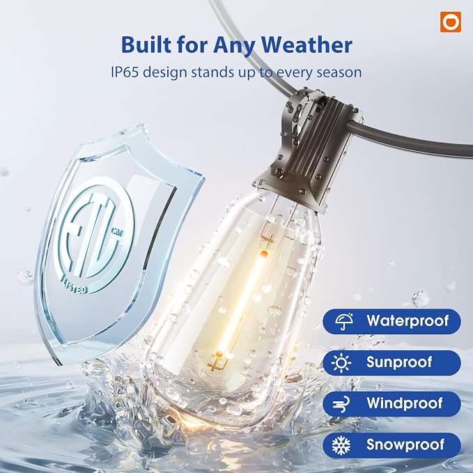 addlon 100FT LED Outdoor String Lights with Remote Waterproof Patio Lights with Shatterproof ST38 Replaceable Bulbs, Dimmable Outside Hanging Light Connectable for Porch, Backyard (Pack of 2)