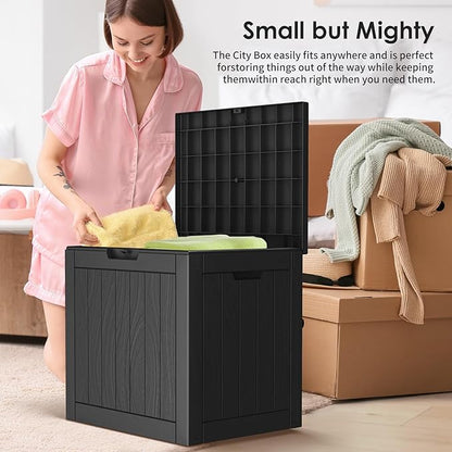 Vixzen 30 Gallon Deck Boxes Outdoor Waterproof, Lockable Storage Box with Lid for Patio Cushions, Garden Tools, Pool Supplies (Black, 30 Gallon)