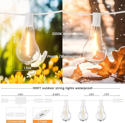 String Lights, 100FT Patio Lights with 64+5 Bulbs(1.5FT Bulbs Spacing), Outdoor String Lights, Remote & Dimmer, 3 Mode Light & Timing, 65PC Mounting Ties for Outside, 2200K (White)