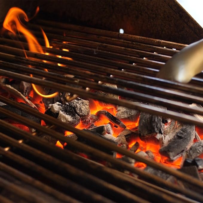 Lion Premium Grills L109673 Charcoal Tray