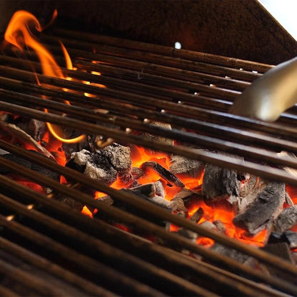 Lion Premium Grills L109673 Charcoal Tray