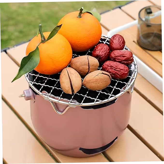 Portable Charcoal Grill, Small Grill with Handle for Outdoor Cooking, Stainless Steel Charcoal for Backyard, Purple