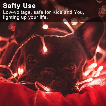 JMEXSUSS 33ft 100 LED Red Battery Operated Lights with Remote, Valentine Lights Battery Operated, Christmas String Light Indoor Outdoor for Valentine's Day Tree House Yard Xmas Decor (Pack of 2)