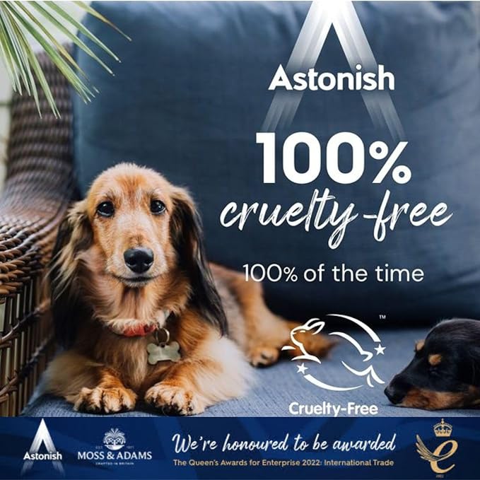 Astonish Oven & Grill Cleaner Paste with Sponge, Orange Oil 8.8oz 3 Pack