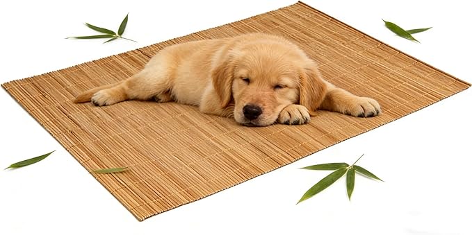 Dining Table Placemat, Heat-Resistant Place Mat Stain Resistant Anti-Skid Washable Bamboo Table Mat Placemat Kitchen Table mat