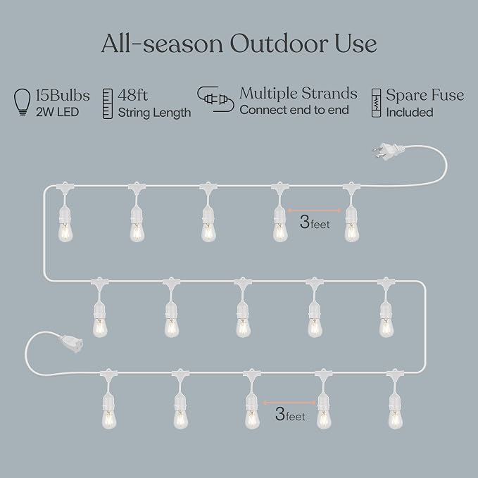 Brightech Ambience Pro Waterproof LED Outdoor String Lights, 48 Ft, Hanging, Dimmable Vintage Edison Bulbs, 15 Bulbs, 2W