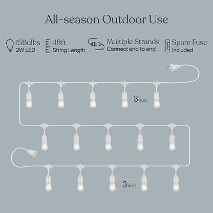 Brightech Ambience Pro Waterproof LED Outdoor String Lights, 48 Ft, Hanging, Dimmable Vintage Edison Bulbs, 15 Bulbs, 2W