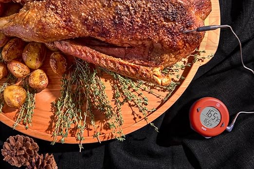 ThermoWorks DOT — Chefs’ Favorite Simple Alarm Thermometer - Nautical Blue