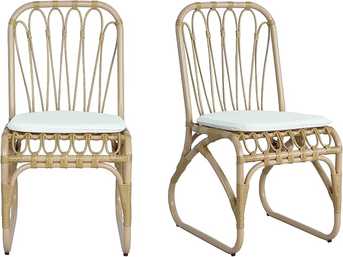 Christopher Knight Home Set of 2 Busby Patio PE Wicker Dining Chairs, Outdoor Woven Rattan Accent Chair with Iron Frame+Cushion, Fully Assembled Lounge Chair Outdoor for Garden/Balcony, Natural