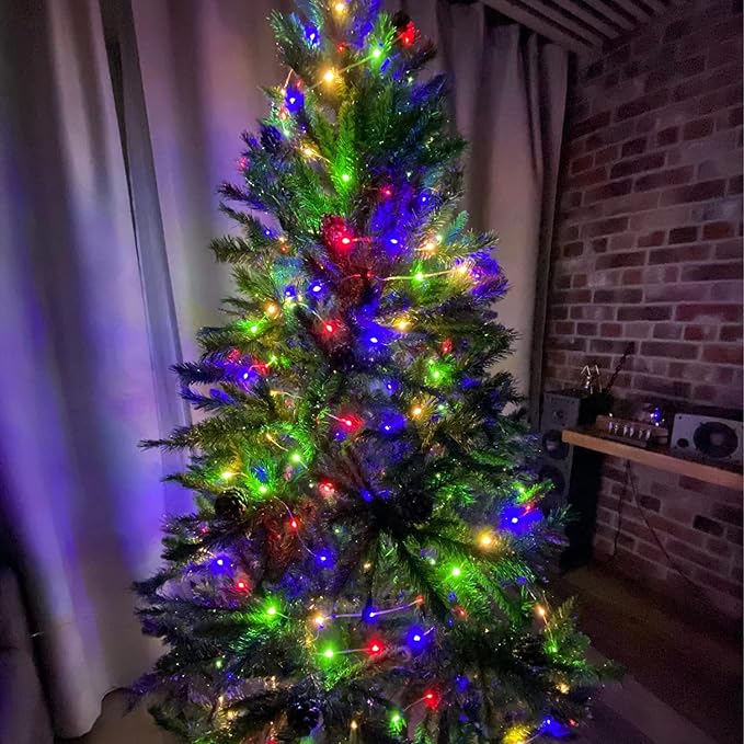 66FT 200 LED Fairy Lights with Remote, Plug in Twinkle Light Outdoor Indoor | 8 Modes, Timer, Dimmable, Memory Function, Waterproof Multicolor String Lights for Bedroom Garden Party Christmas Decor