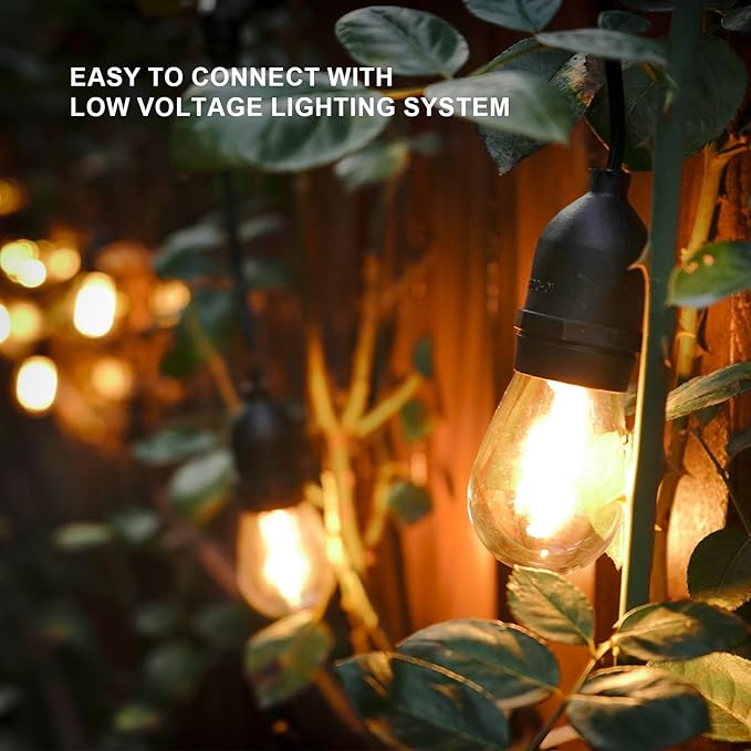 GOODSMANN LED Low Voltage String Lights 12V AC 50FT 10PCS 2W Bulbs 135 Lumens Hanging Landscape Lighting 2800K String Weatherproof Decorative Light for Patio Light