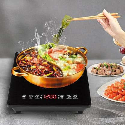 Portable Induction Cooktop with Timer 1800W, 9 Power & Temperature Levels, Child Safety Lock, Thin Design for Home, Office, RV Travel, US Plug 110-120V