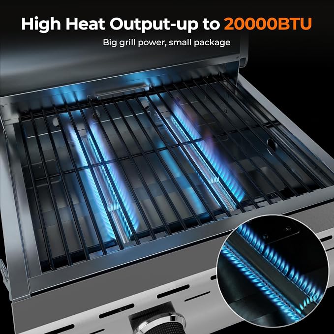 Electactic 20,000 BTUs Portable Tabletop Gas Grill, 2-Burner Propane Grill with 251 Sq.in Cooking Area, Stainless Steel BBQ Grill with Foldable Legs, Easy Assemble & Clean for Outoor