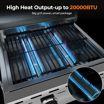 Electactic 20,000 BTUs Portable Tabletop Gas Grill, 2-Burner Propane Grill with 251 Sq.in Cooking Area, Stainless Steel BBQ Grill with Foldable Legs, Easy Assemble & Clean for Outoor