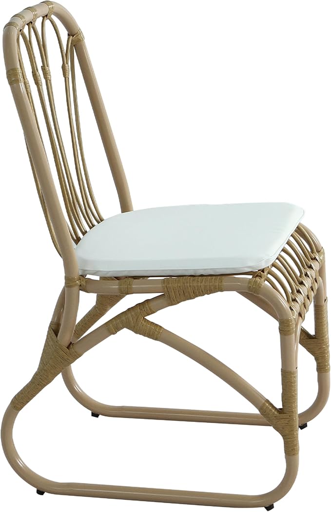 Christopher Knight Home Set of 2 Busby Patio PE Wicker Dining Chairs, Outdoor Woven Rattan Accent Chair with Iron Frame+Cushion, Fully Assembled Lounge Chair Outdoor for Garden/Balcony, Natural
