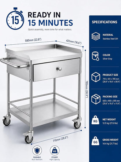 Metal Rolling Cart with 360° Silent Wheels, 220 lbs Capacity Utility Cart | 2-Tier Medical Cart with Handle & Lockable Casters for Lab, Clinic, Kitchen, BBQ Party, Salon