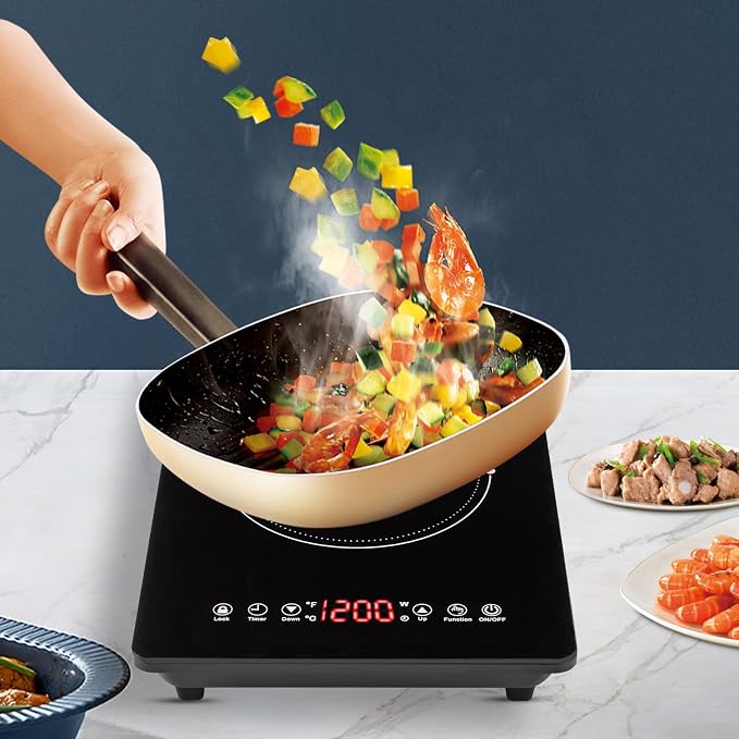 Portable Induction Cooktop with Timer 1800W, 9 Power & Temperature Levels, Child Safety Lock, Thin Design for Home, Office, RV Travel, US Plug 110-120V