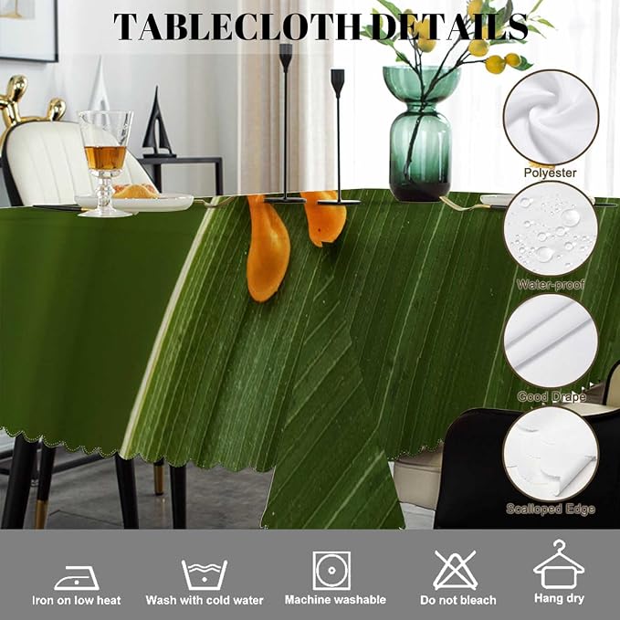 Swono Tree Frog Tablecloths Tropical Leaves Animal Red Eyed Tree Frog Kitchen Dinning Tabletop Decoration, Polyester Table Cover for Indoor Outdoor 50x72 Inch Tablecloth