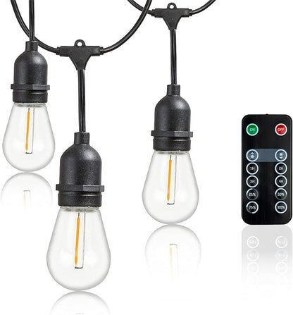 Newhouse Lighting LED String Lights with Weatherproof Technology, Dimmable with Wireless Remote Control, 48ft and 16 (15+1 Free) LED Light Bulbs Included, Black (CSTRINGLEDDIM)