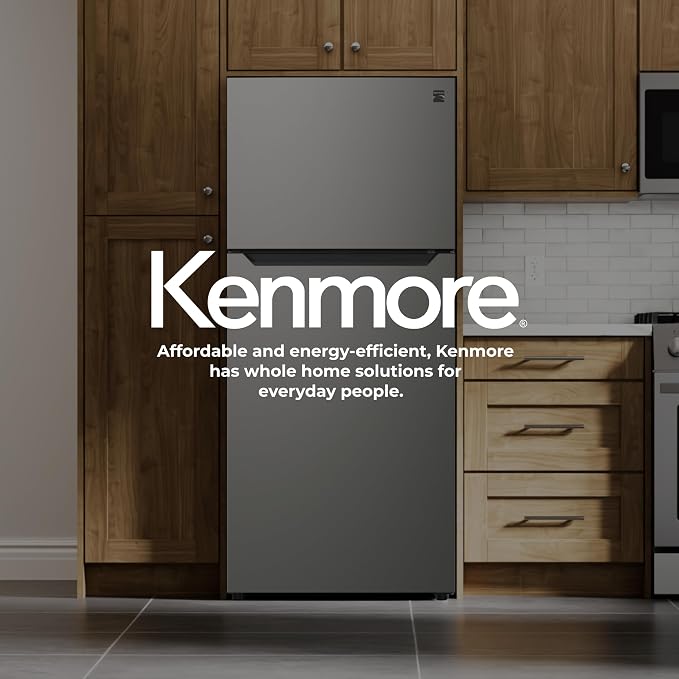 Kenmore 18.1 cu. ft. 30" Wide Top Mount Refrigerator - FPR Metallic Steel