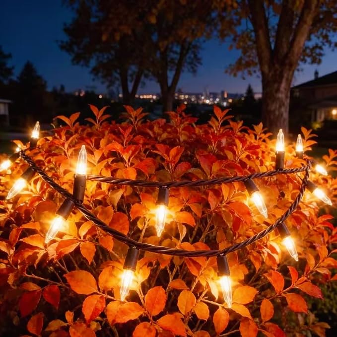 LUCKY SHINE 150 LED Warm White Christmas Lights, Commercial Grade Decorative Lighting String Brown Wire 50 FT, for Indoor Outdoor Party, Garden, Patio