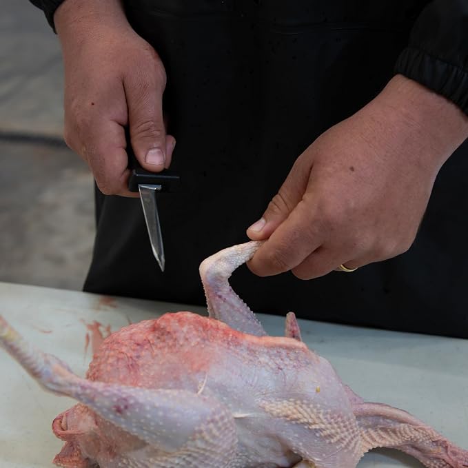 Yardbird Poultry Processing Knife, 3.5" High-Carbon Stainless Steel Blade, Dual Cutting-Edge Tip, Slip-Resistant Handle, Model: 47185