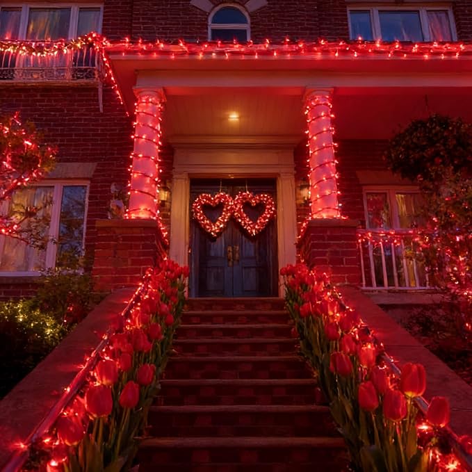 Red Valentines Day Decor Lights,100 Count 19.6FT Mini Valentine's Lights,Red Christmas String Fairy Lights Outdoor Indoor Plug in for Room Party Wedding Tree Valentines Day Decorations