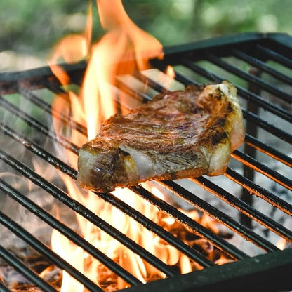 Argentinean Iron Grill for asados with charcoal (Medium)