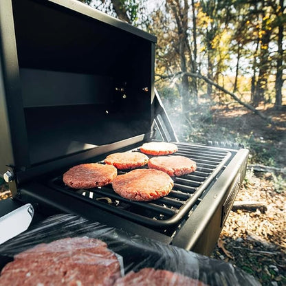 Ash & Ember Park-Style Grill/Smoker, 260 Sq In Charcoal Grill with Cover, 17.5"x11.5" Grate, Side Shelf for Food Prep, Single Post Permanent Park-Style Grill for Outdoor Backyard BBQ