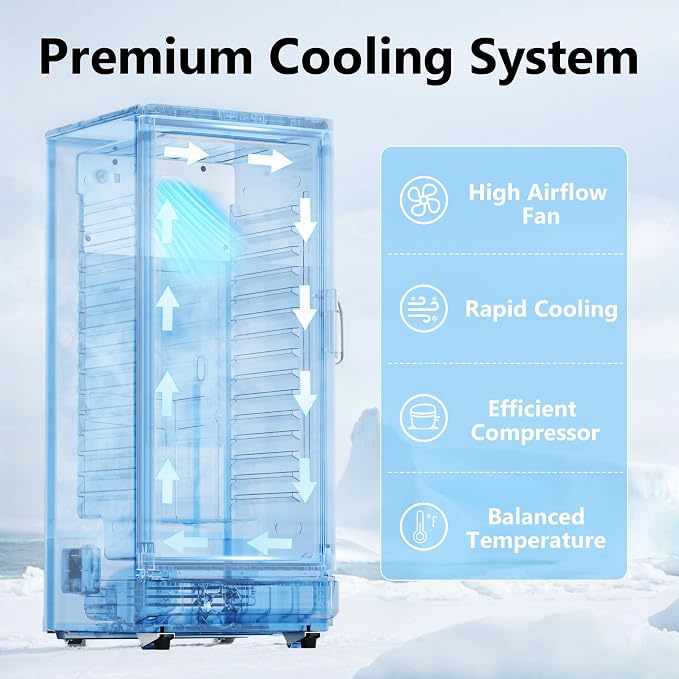 6 Cu.Ft Commercial Beverage Fridge with Glass Door | Double-Tempered Glass, Locking Key & LED, Indoor/Outdoor Use, Bar/Office/Restaurant, Adjustable Shelves, Energy Efficient