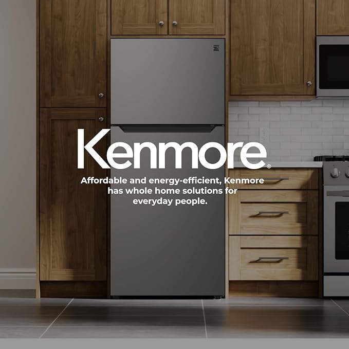 Kenmore 20.2 cu. ft. 30" Wide Top Mount Refrigerator - FPR Metallic Steel