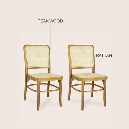 JONATHAN Y Colmar Mid-Century Natural Teak Rattan Dining Chairs Set of 2 | For Kitchen And Home Office, Woven Cane Back, Armless Side Seating, Indonesian Wood, Vintage Bohemian Style