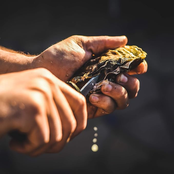 Outset Oyster Lovers Cast Iron Grill Set, Oyster Grill Pan & Shucking Knife | Grill & Serve Oysters In One Pan | 12 Capacity Oyster Tray & Plate | Oven, Grill & Stovetop Safe | Includes Oyster Shucker