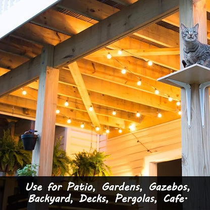 Banord 100FT G40 Globe String Lights, 2700K LED Outdoor Patio Lights String with 50 Dimmable Shatterproof Bulbs, Waterproof Connectable Hanging Lights for Backyard Porch Balcony Party, E12 Socket Base