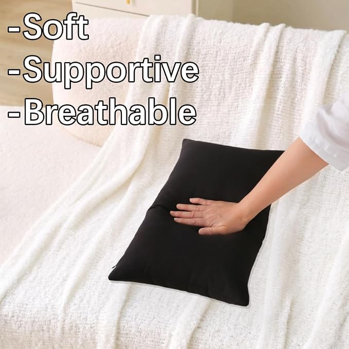 Outdoor Throw Pillows with Inserts, Waterproof Pillows for Outdoor Seating, Square Decorative Garden Cushion for Patio Furniture, Bed, Couch, Sofa (Black, 12" x 20" (Pack of 2))