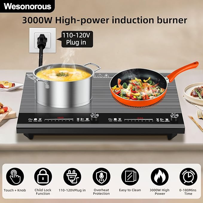2 burner induction cooktop,110V 3000W 2 burner induction plate with Brushed Panel LED Knob Control, induction stove top with 9 Power Levels, Kids Lock & Timer,24 Inch double induction cooktop
